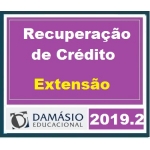 Recuperação de Crédito Extensão (DAMÁSIO 2019)